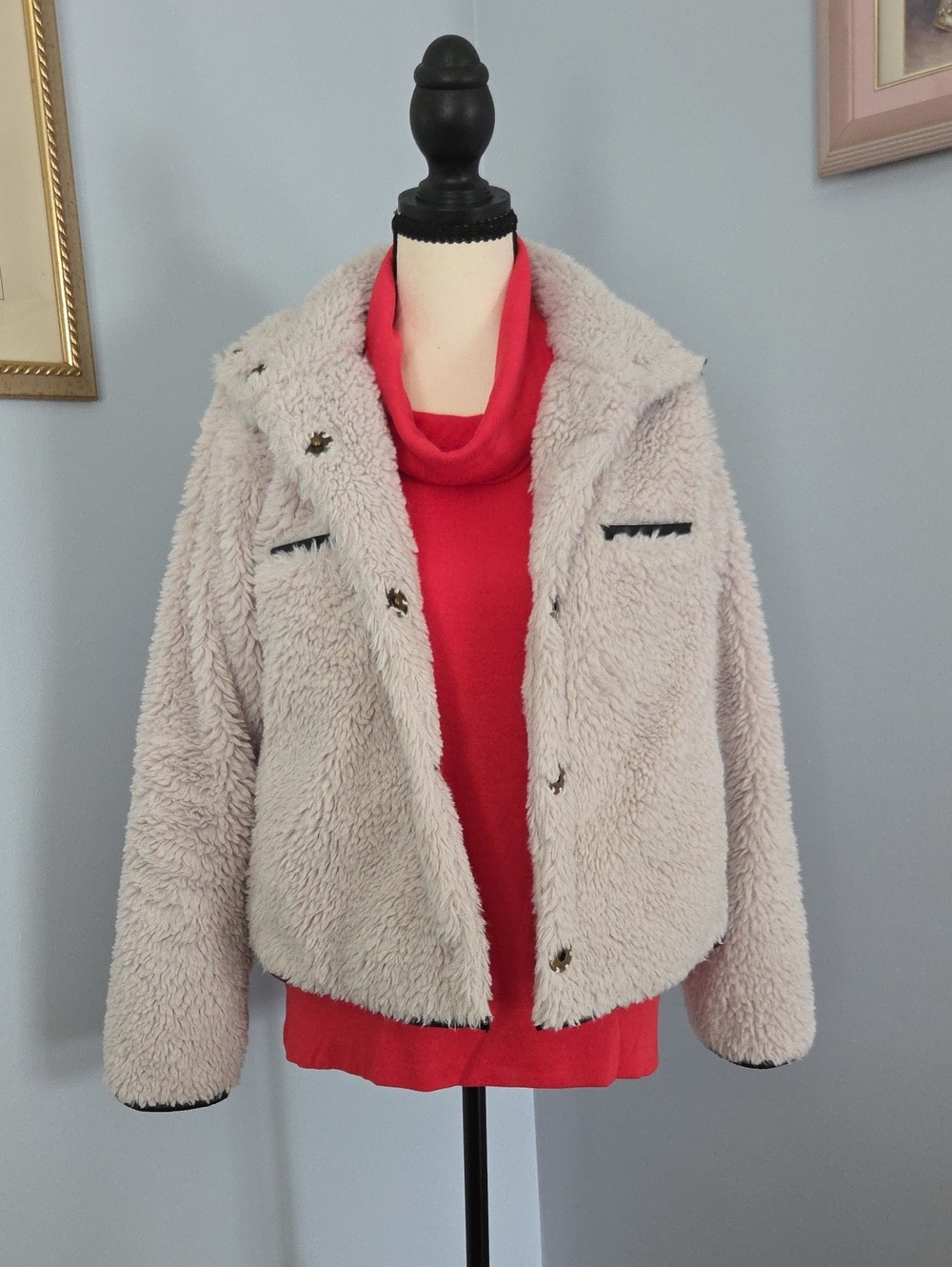 dylan Off-White Teddy Jacket with Dark Accents